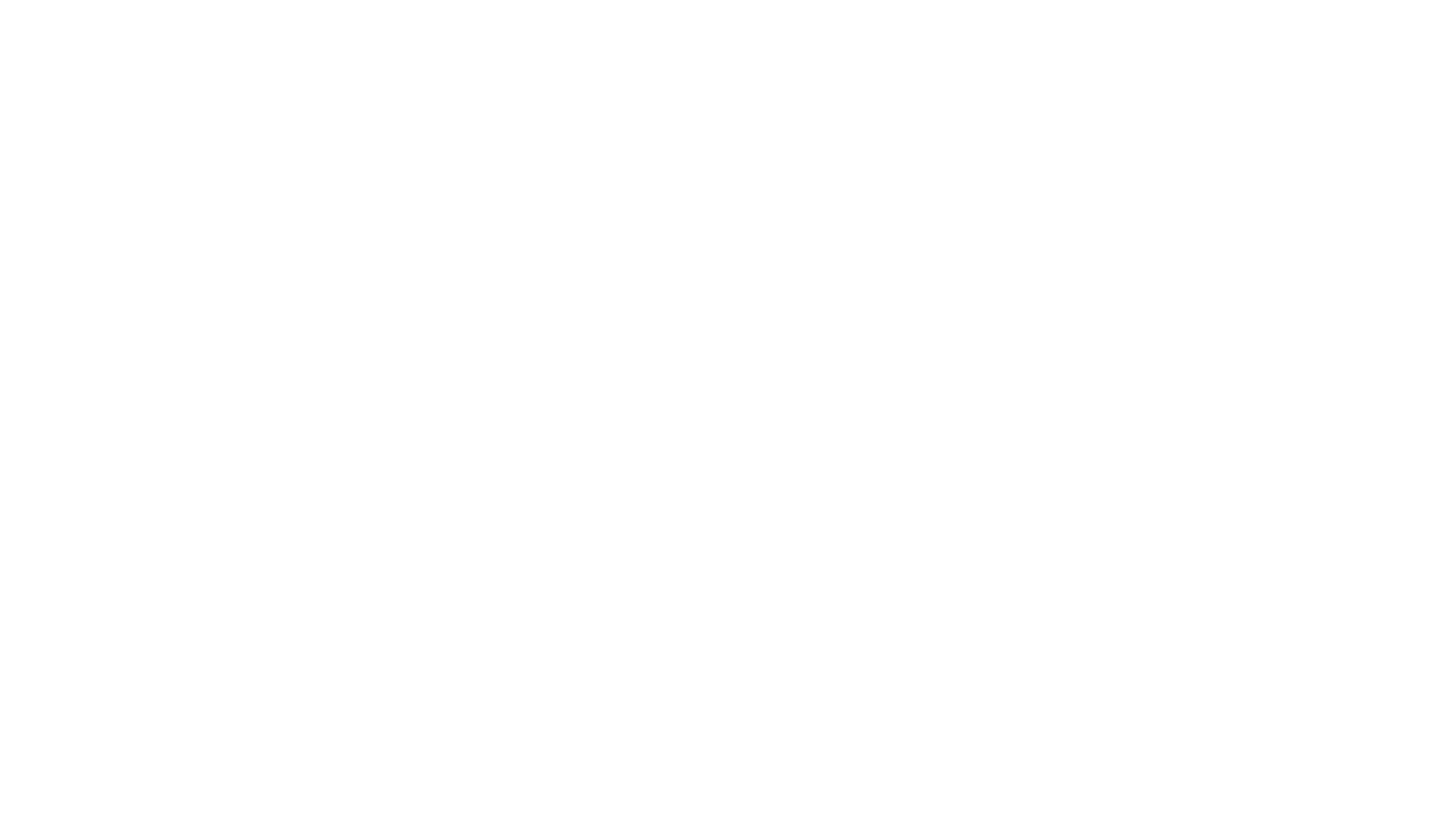 Fly Media