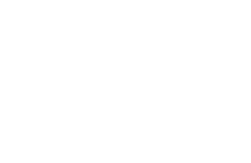 Patagon AI