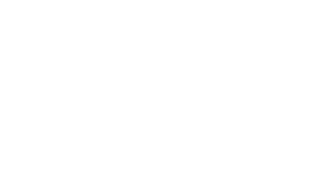 Salu